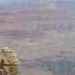 Grand Canyon Indeed
