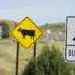 Cool Road Signs