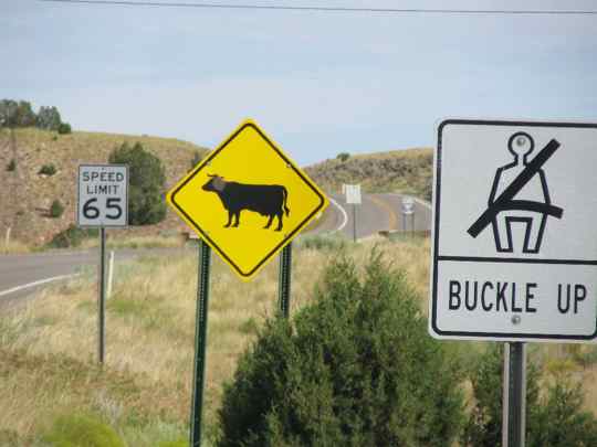 Cool Road Signs