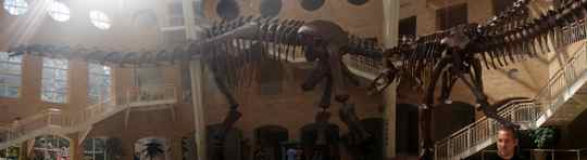 Fernbank Museum of Natural History, Atlanta