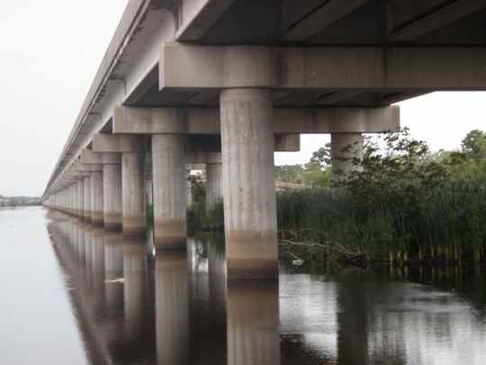 Louisiana Bayou