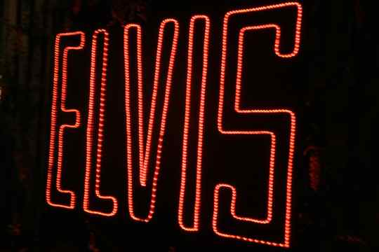 Elvis the King is All Shook Up